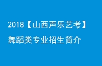 2018ɽտ赸רҵ